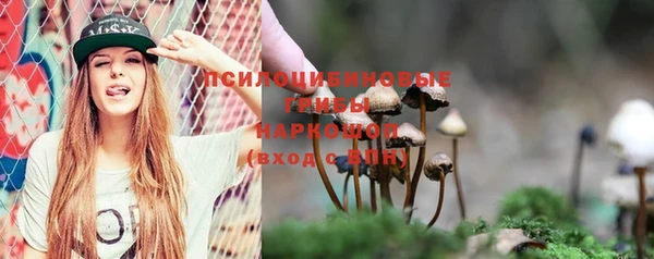 ПСИЛОЦИБИНОВЫЕ ГРИБЫ Аркадак