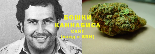 ПСИЛОЦИБИНОВЫЕ ГРИБЫ Аркадак
