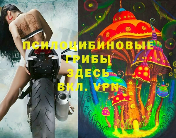 мет Дмитров